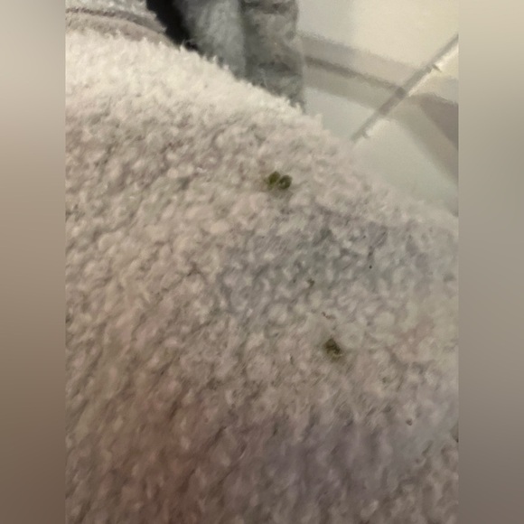 Carhartt Men’s Loose Fit Gray Hoodie - Picture 4 of 8